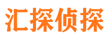 无极市侦探调查公司